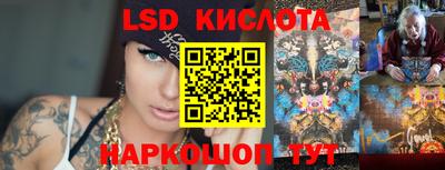 прущие крисы Бийск