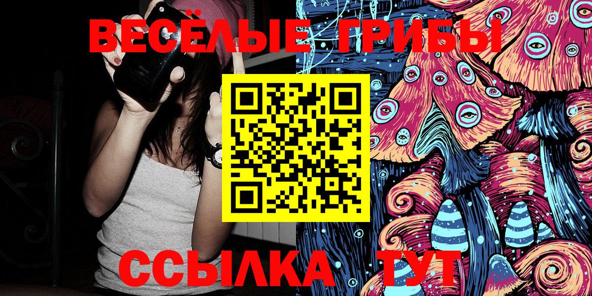 Галлюциногенные грибы мицелий  Галлюциногенные грибы мицелий  Карачаевск  Вход с VPN 
